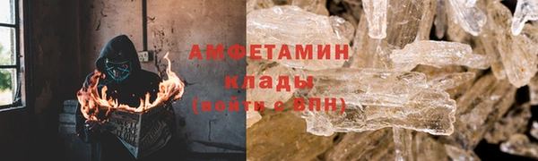 ГАЛЛЮЦИНОГЕННЫЕ ГРИБЫ Алзамай
