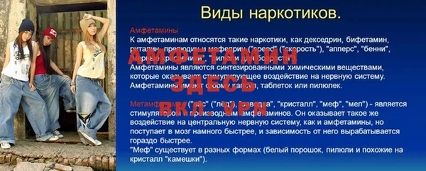 ГАЛЛЮЦИНОГЕННЫЕ ГРИБЫ Алзамай
