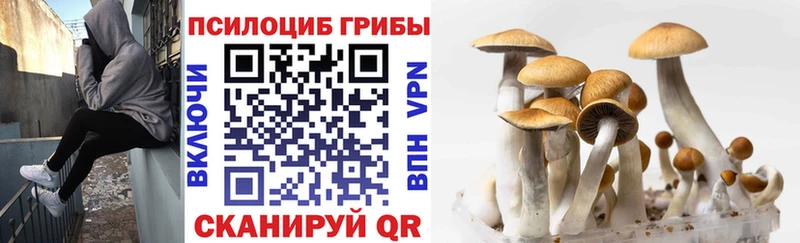 Псилоцибиновые грибы GOLDEN TEACHER купить цена Кяхта